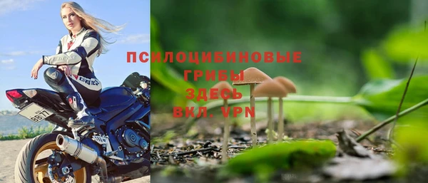 PSILOCYBIN Алзамай