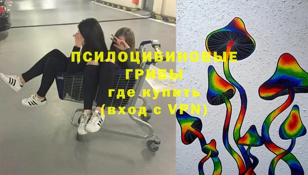 PSILOCYBIN Алзамай