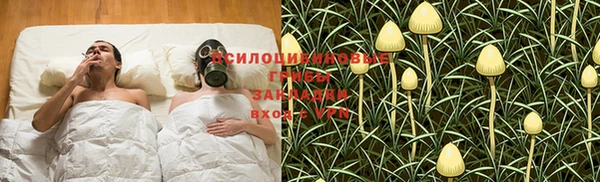 PSILOCYBIN Алзамай