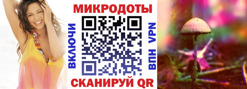 купить наркоту  Краснознаменск  Псилоцибиновые грибы Cubensis 